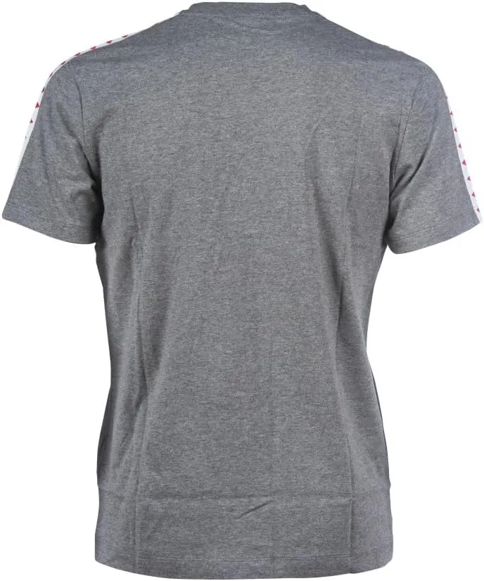 Arena Men's Team Stripe T-Shirt