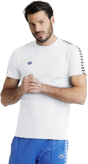 Arena Men's Team Stripe T-Shirt