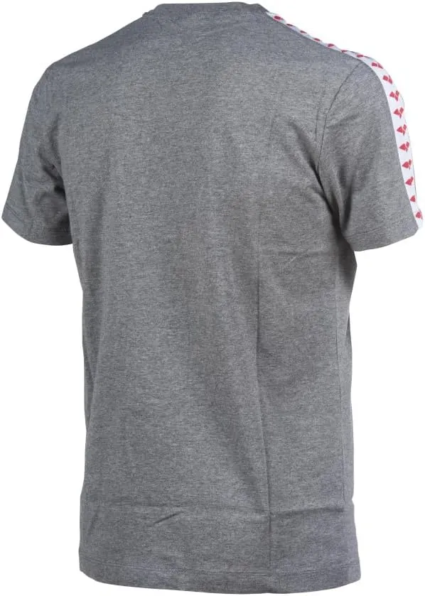 Arena Men's Team Stripe T-Shirt