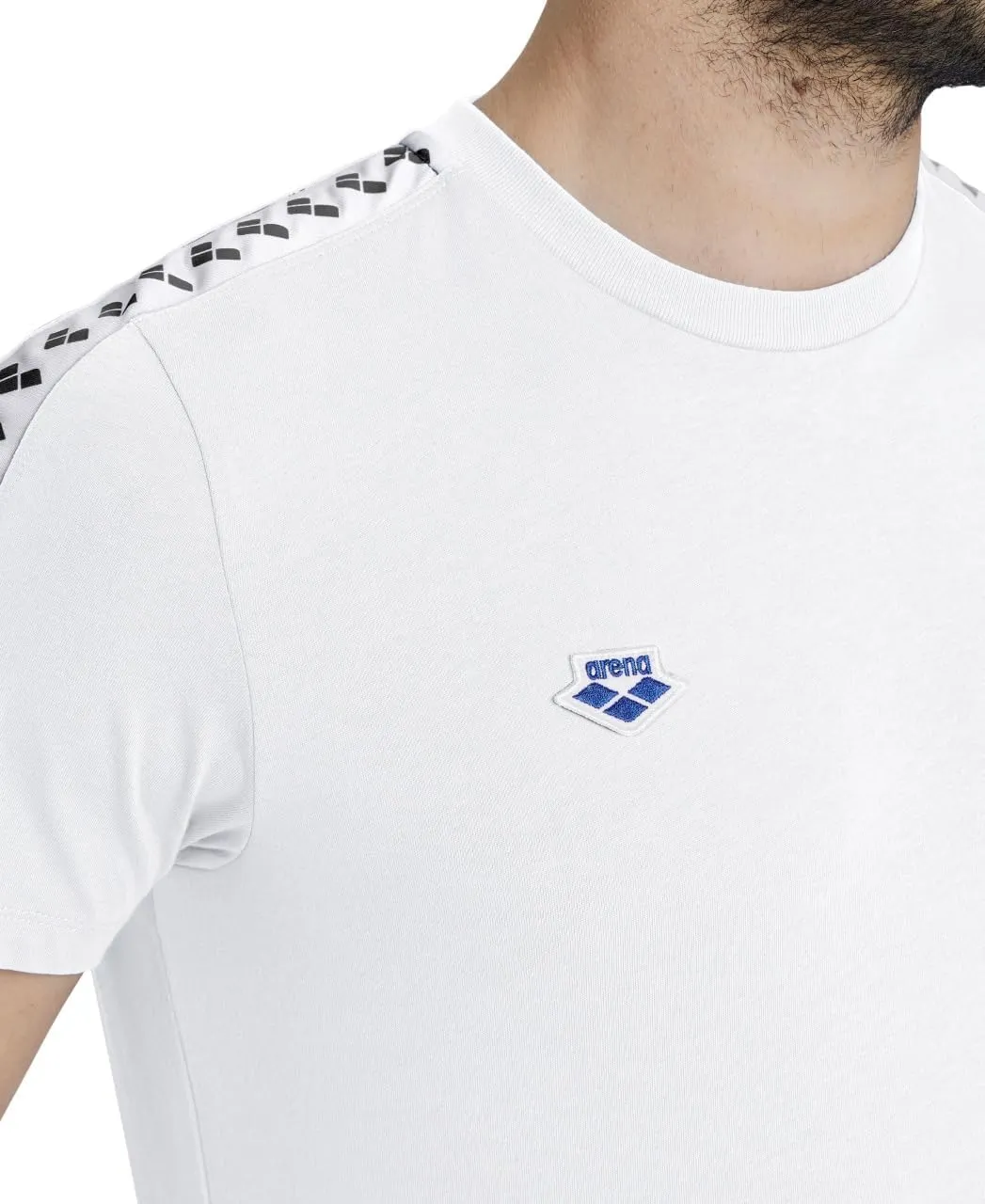 Arena Men's Team Stripe T-Shirt