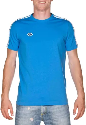 Arena Men's Team Stripe T-Shirt